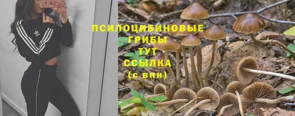 каннабис Абинск