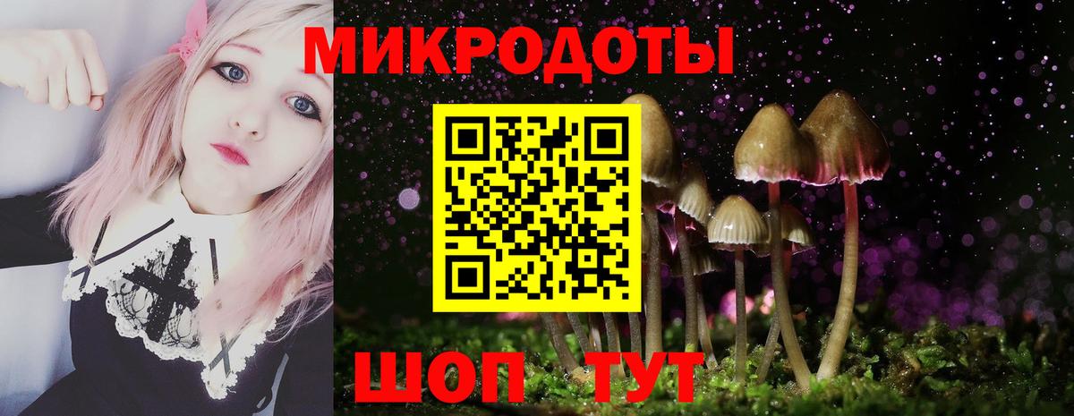 Галлюциногенные грибы Psilocybine cubensis Кызыл